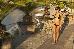 Thumbnail 202