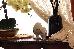 Thumbnail 41