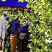 Thumbnail 146