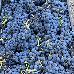 Thumbnail 53