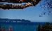 Thumbnail 39