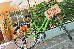 Thumbnail 40