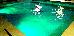 Thumbnail 27