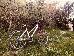 Thumbnail 208