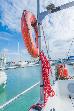 Thumbnail 79