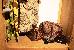 Thumbnail 24