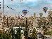 Thumbnail 197