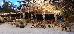 Thumbnail 218