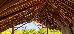 Thumbnail 122