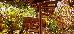 Thumbnail 93