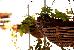 Thumbnail 38