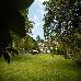 Thumbnail 26