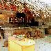 Thumbnail 63