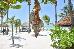 Thumbnail 63