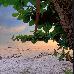 Thumbnail 25