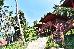 Thumbnail 114