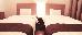 Thumbnail 33