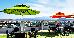 Thumbnail 45