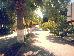 Thumbnail 29