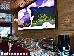 Thumbnail 43