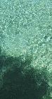 Thumbnail 84