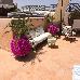 Thumbnail 26