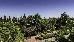 Thumbnail 22