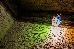 Thumbnail 29