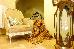 Thumbnail 193