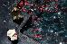 Thumbnail 23
