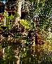 Thumbnail 22