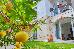 Thumbnail 15