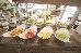 Thumbnail 54