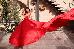 Thumbnail 207