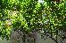 Thumbnail 85