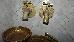 Thumbnail 76