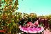 Thumbnail 68