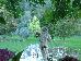 Thumbnail 62