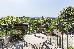 Thumbnail 28