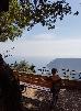 Thumbnail 15