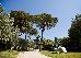 Thumbnail 45