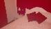 Thumbnail 33