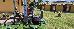 Thumbnail 22