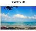 Thumbnail 22