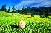 Thumbnail 102