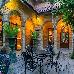 Thumbnail 29
