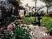 Thumbnail 23