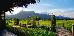 Thumbnail 46