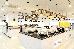 Thumbnail 254