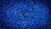 Thumbnail 36